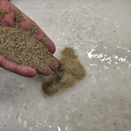 A hand pouring seeds into paper pulp during seed paper production