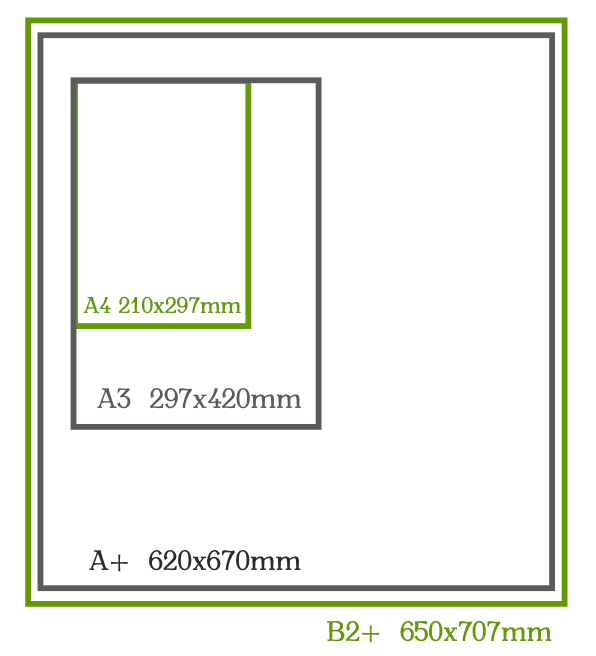 Podstawowe formaty papierów czerpanych z nasionami: A4, A3, A+ 620 x 670 mm i B2+ 650 x 707 mm