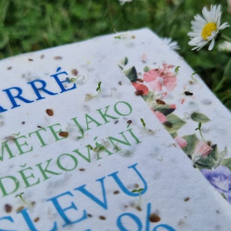 Kupon rabatowy 15% na papierze z nasionami leżący na trawie ze stokrotkami