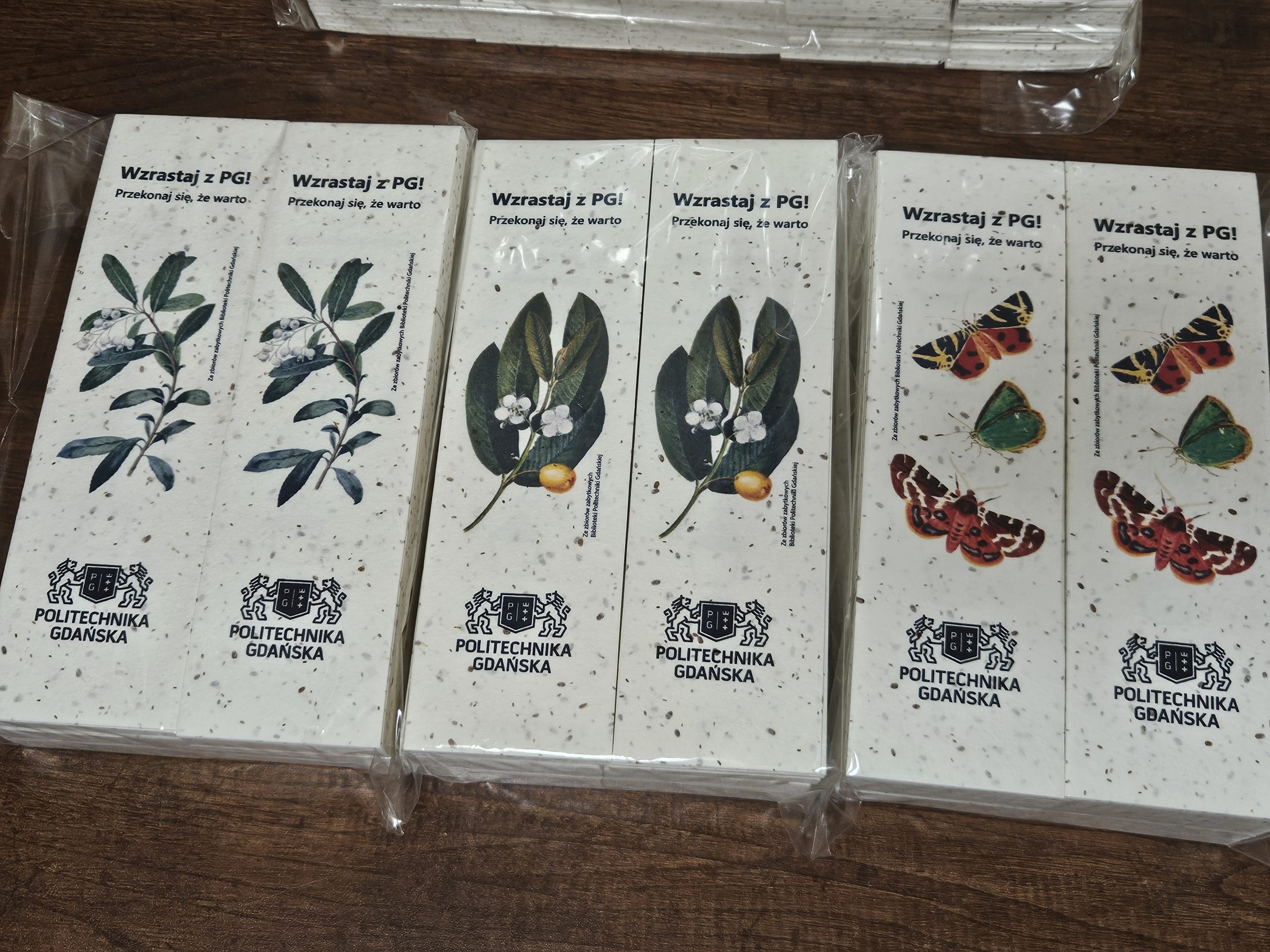 papier rosnący kwitnący seedpaper